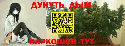 каннабис Донской