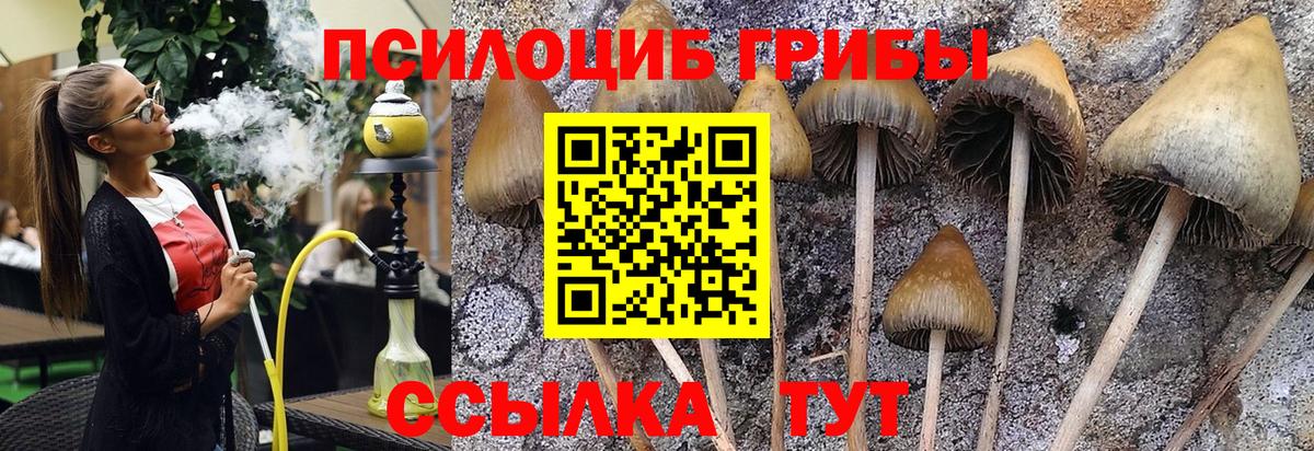 Галлюциногенные грибы Psilocybe  Вход с VPN  Луховицы  Псилоцибиновые грибы Magic Shrooms 